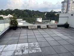 Airview Park (D21), Semi-Detached #564124341